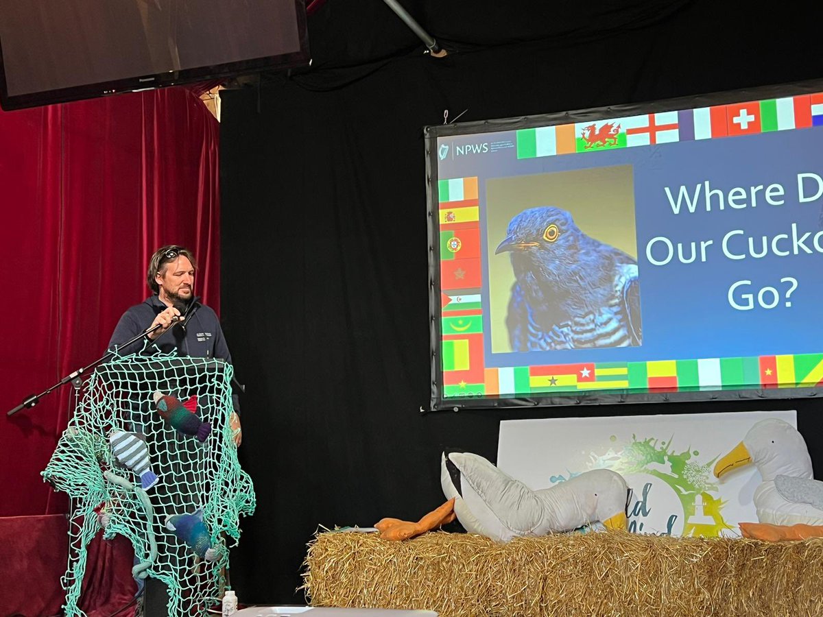 Fabulous day at @wildmind_ie festival in Fenit. Wonderful reception to my talk on @NPWSIreland/@_BTO Cuckoo tracking project, overflowing with questions before and after. Looking forward to their arrival back in Ireland. Saw amazing talks by @rickywhela90923 and Stephen Cotter👍