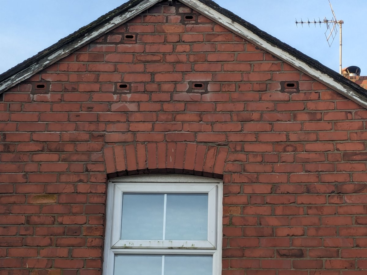 Two swifts over my garden! Just yesterday Countryile star Hayley Garrod installed six integral nest boxes in my loft and the call system is now on!