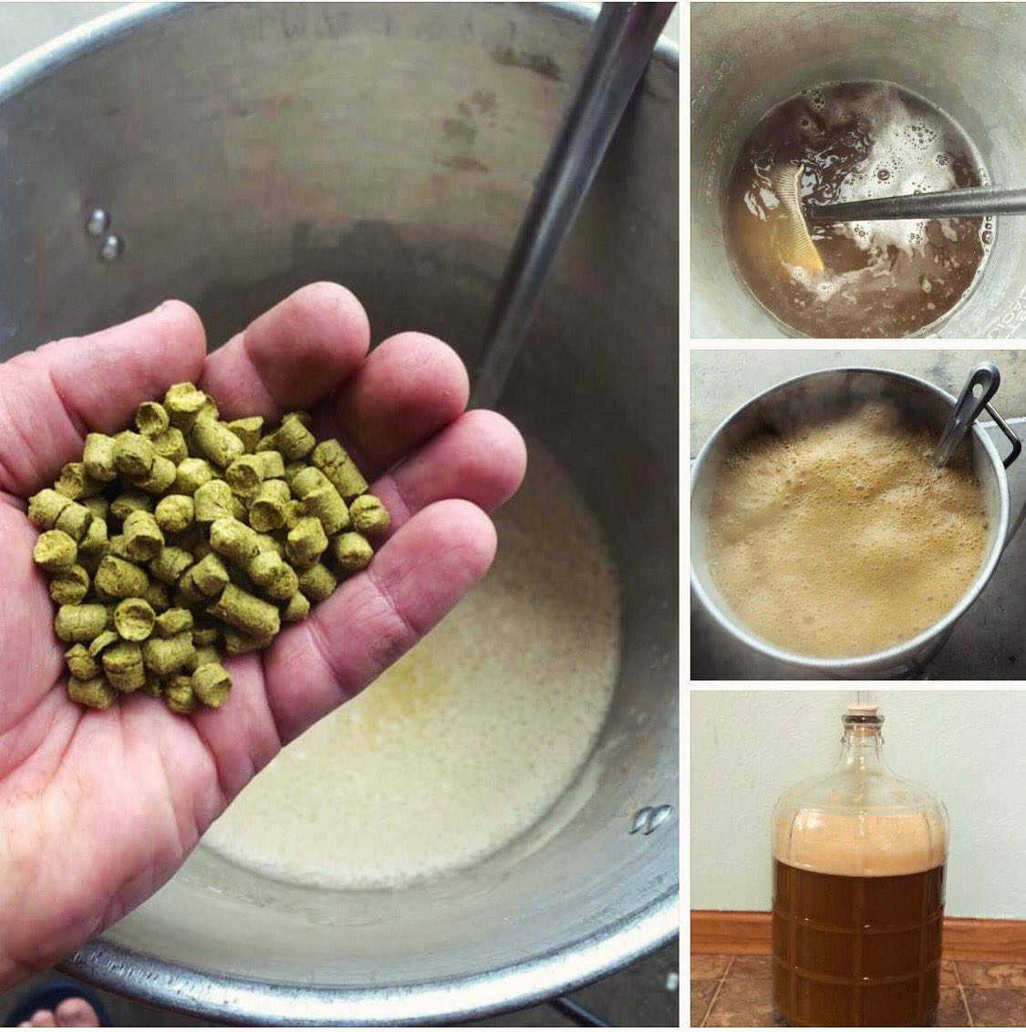 High Hoppage tweet media