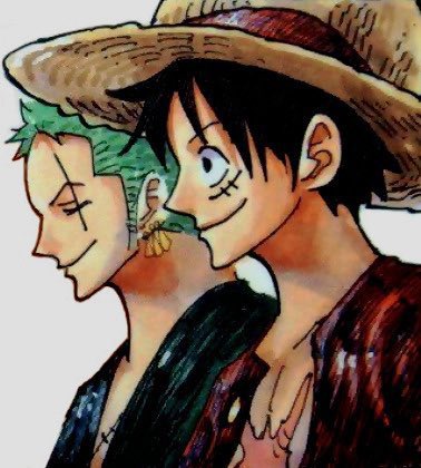 Luffy & Zoro