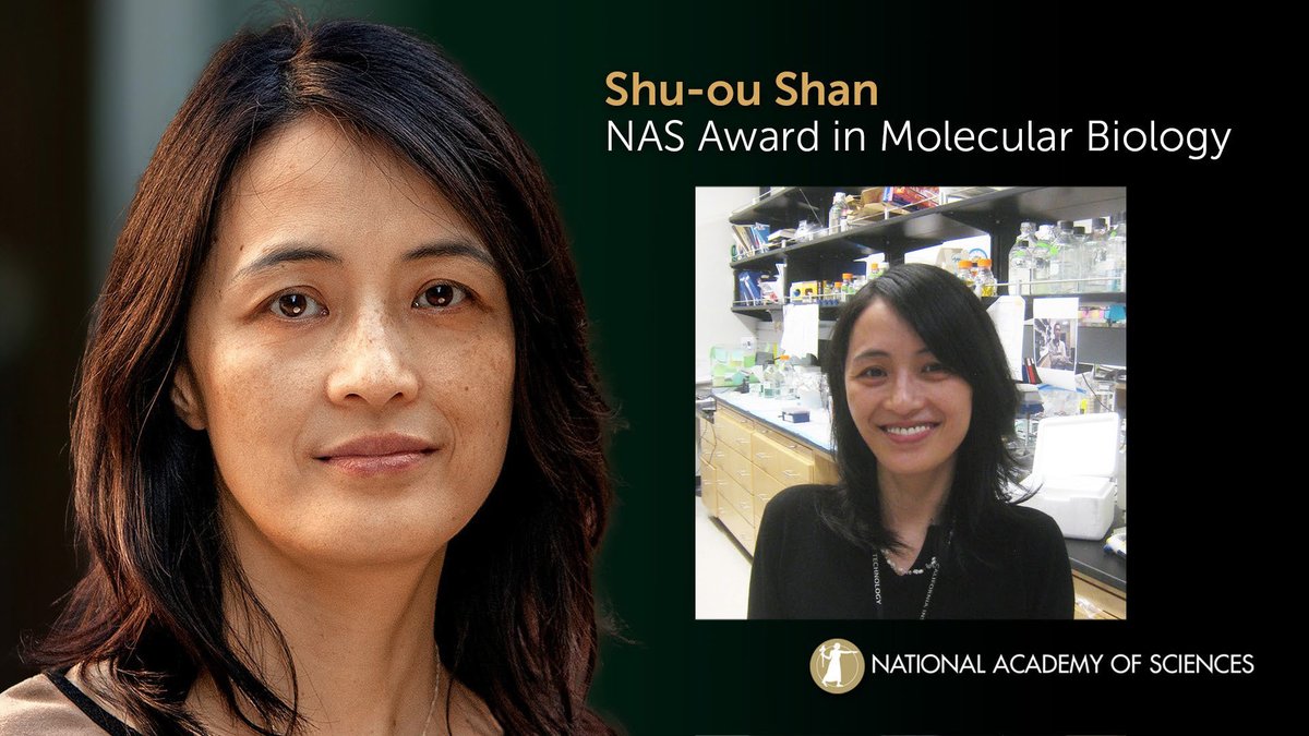 Accepting the 2024 NAS Award in Molecular Biology is Shu-ou Shan of @Caltech for her novel research on molecular mechanisms underlying critical cellular processes. #molecularbiology #NAS161 #NASaward Watch live: ow.ly/TwmF50Rqen0