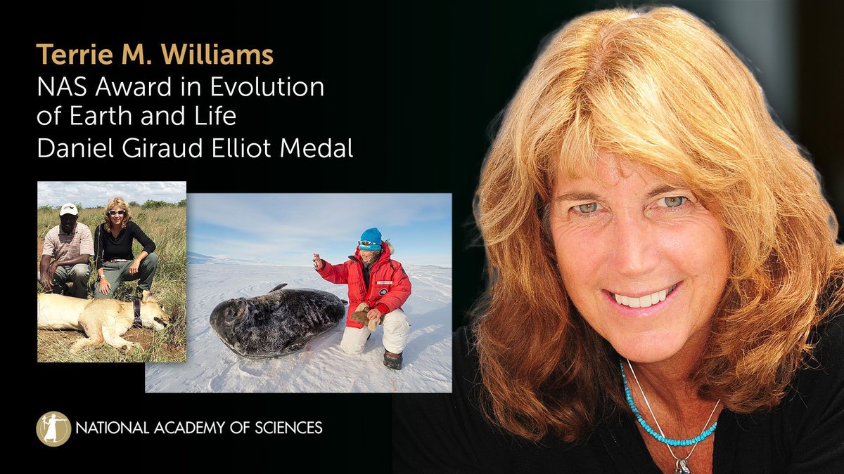 Accepting the 2024 NAS Award in the Evolution of Earth and Life – Daniel Giraud Elliot Medal is Terrie M. Williams of @ucsc for her seminal work on the ecological physiology of large mammals. #zoology #NAS161 #NASaward Watch live: ow.ly/gwSu50Rqen2