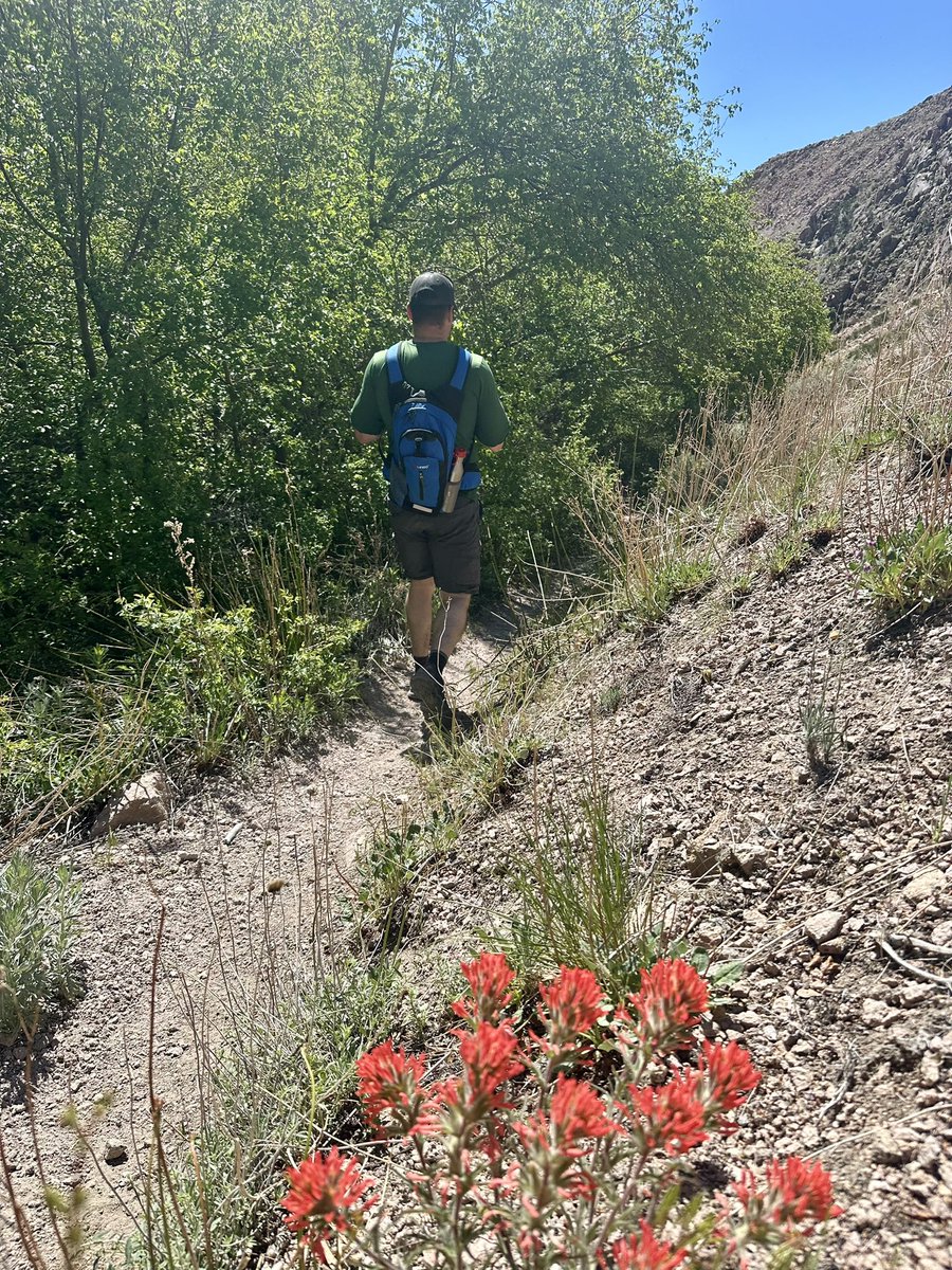 Paintbrush are out on Lower Rock Creek Trail today! 🎨