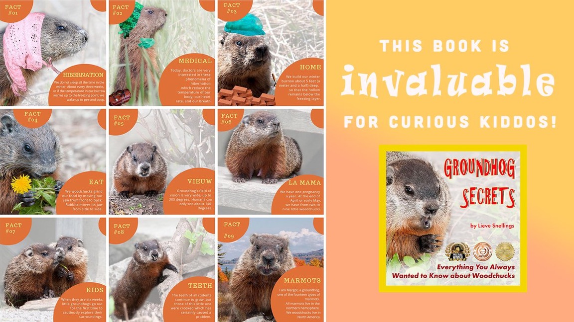 Help! There is a groundhog in our backyard. Is it dangerous? In a joyful way explains Margot, the groundhog, all their secrets. This photo-illustrated book is invaluable for curious kids. mybook.to/EBXF4Sg #homeschooling #LearningIsFun #kidsbook #animalbook