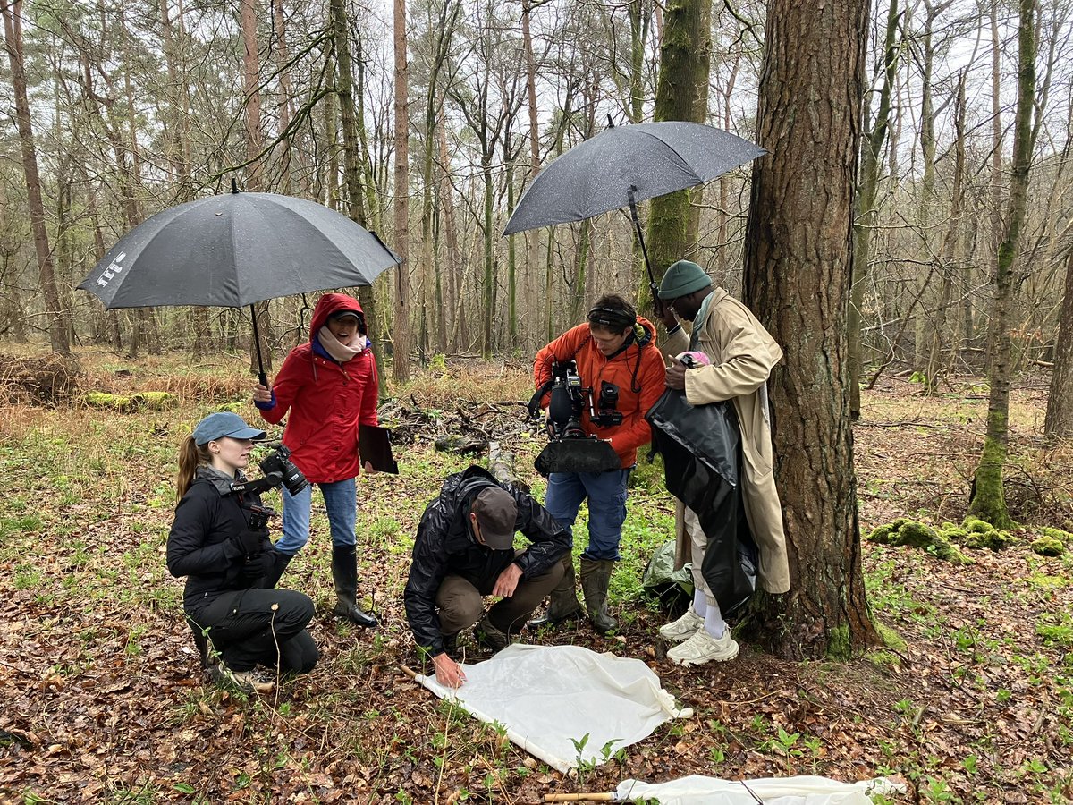 Filming ticks in rain @BBCCountryfile (oh the absolute glamour)