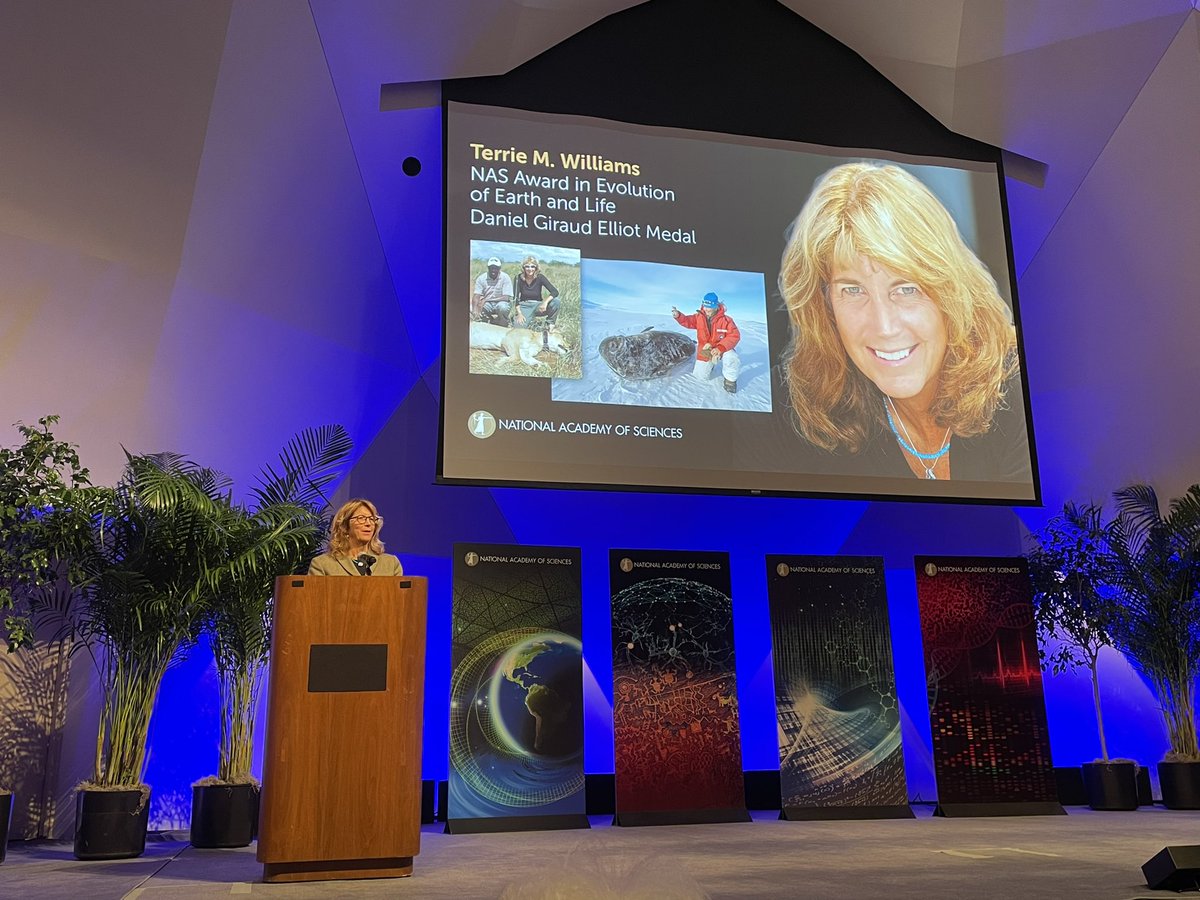 “Why study big animals?” asks Terrie Williams as she accepts the 2024 Daniel Giraud Elliot Medal. “The reason is these lions and killer whales and seals and polar bears are the apex predators and they are the glue holding the world’s ecosystems together.” #NASaward #NAS161