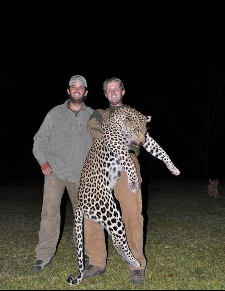 Kristi Noem @GovKristiNoem kills dogs and other defenseless animals following the example of these two maga pos cowards who also enjoy killing beautiful animals.