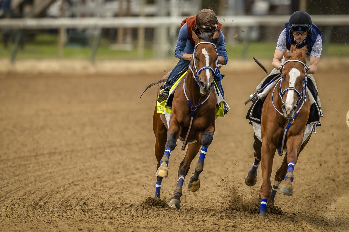 From grooms to hotwalkers, exercise riders and more, there is a hardworking team behind each and every racehorse.

To all of those who care for the equine athletes that we adore,  thank you for your dedication to the horse ❤️