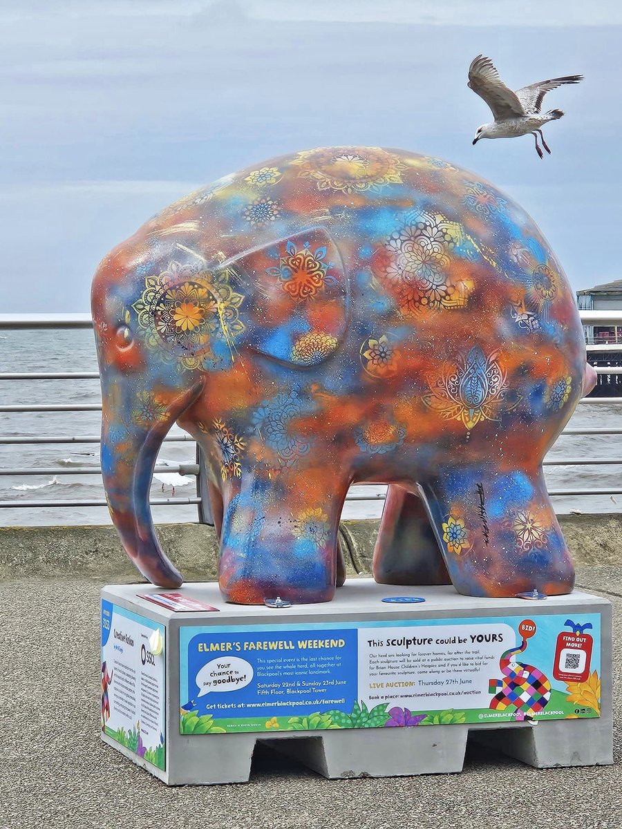 New sculpture alert! It’s an Elmer the Elephant in Blackpool! What do you think? 😃

‘Creative Fusion’ takes inspiration from the rich tapestry of world cultures & is located on the promenade, North Pier

#art #brumhour #craftbizparty #handmadehour #ukcraftershour #elmerblackpool