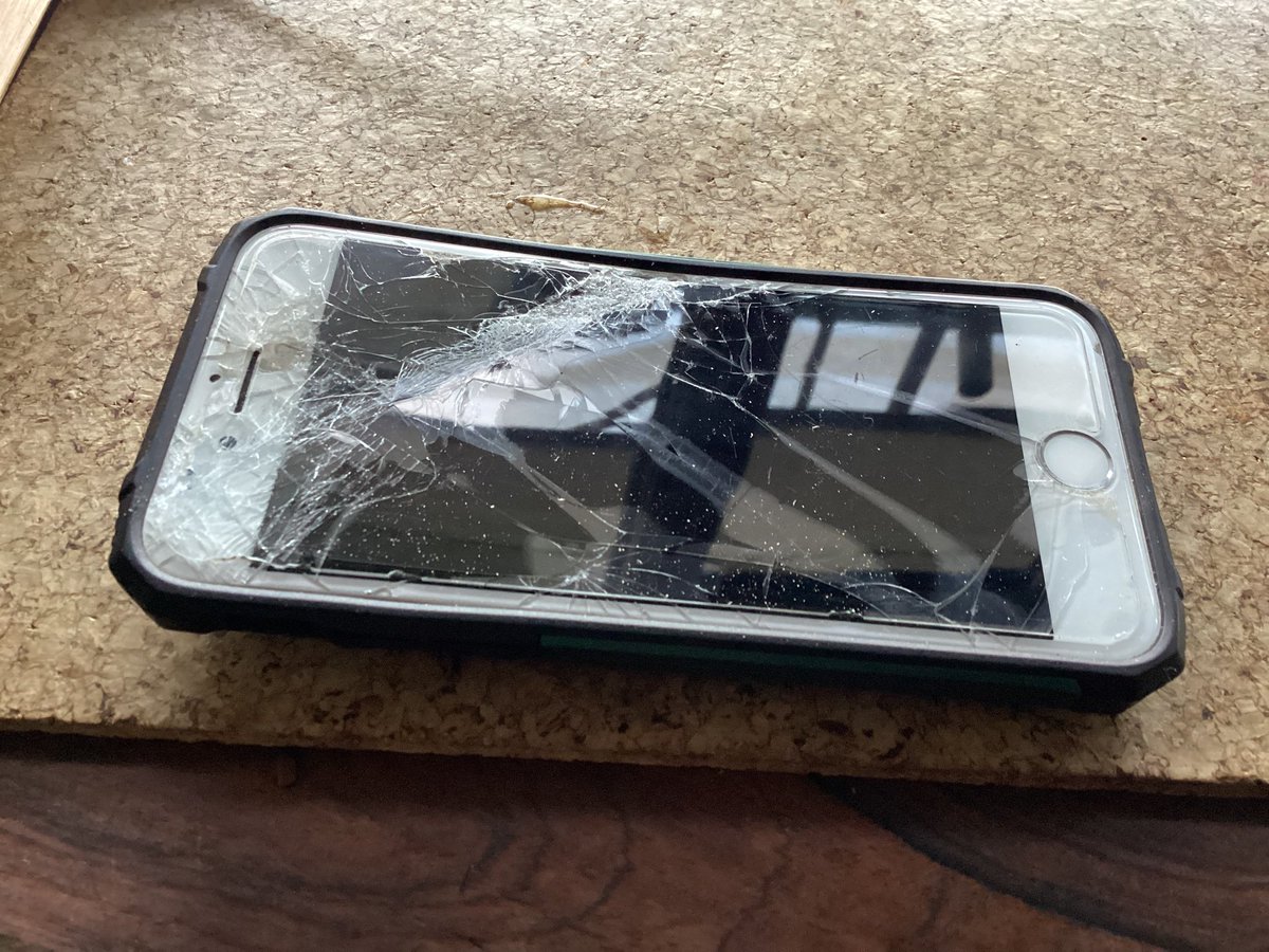 cat frampton tweet media