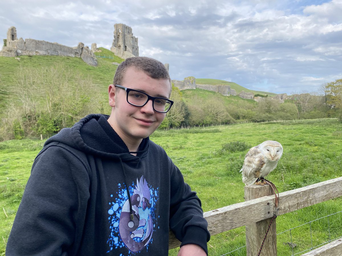 Finally a break in the rain. Willow was happy to spend some time out flying, watching the world go by and screeching at our local peregrine falcons and ravens. 💪🏻🦿🦉 #AlexandersJourney #Owl #OwlWhisperer #Raven #Falcon #CorfeCastle