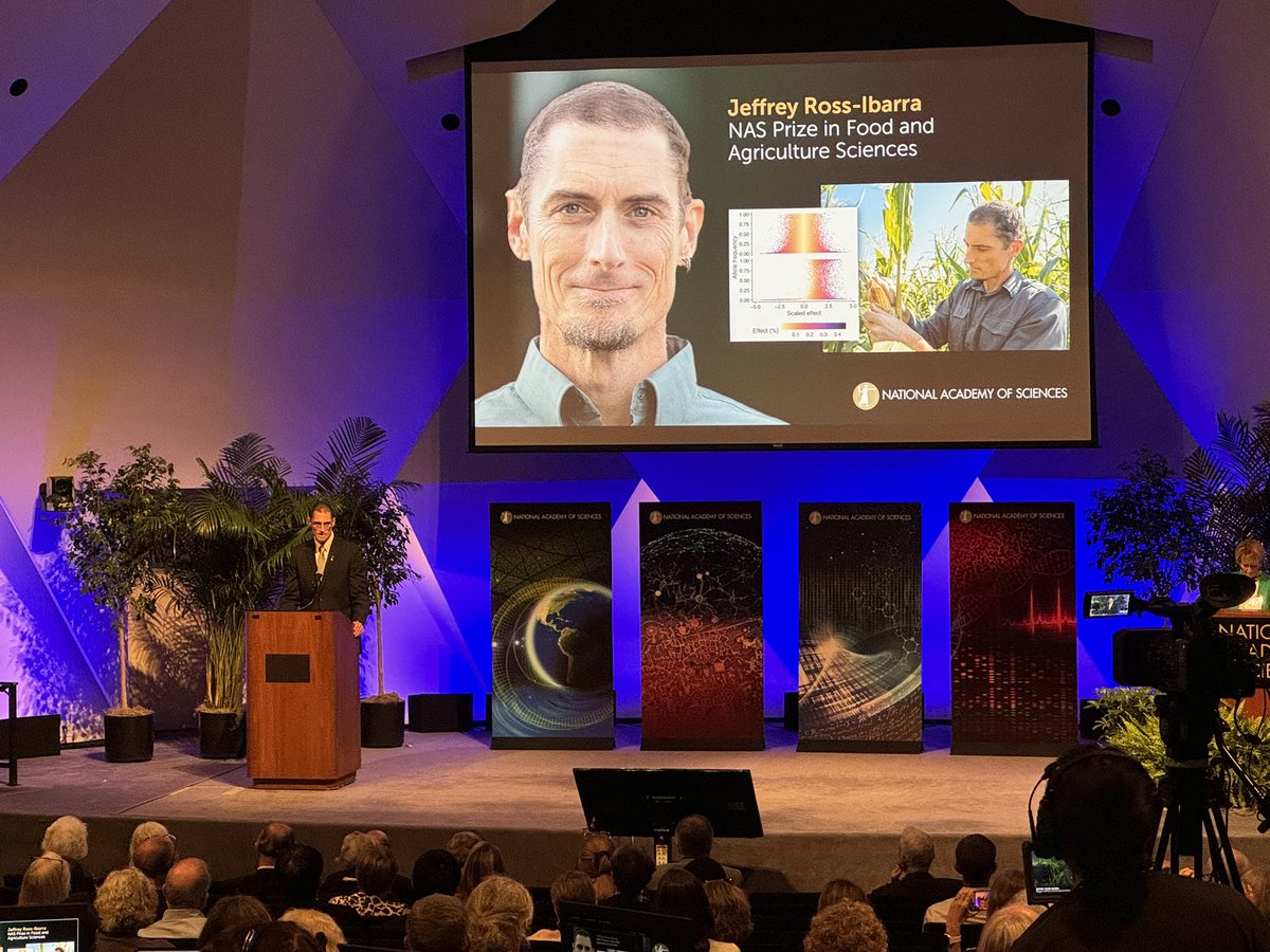 Ed Buckler (@edbuckler) on Twitter photo <a href="/jrossibarra/">Jeffrey Ross-Ibarra</a> receives the <a href="/theNASciences/">National Academy of Sciences</a> prize in Food and Agriculture for his amaizing use of evolution to understand where we came from and where we can go! <a href="/jrossibarra/">Jeffrey Ross-Ibarra</a> receives the <a href="/theNASciences/">National Academy of Sciences</a> prize in Food and Agriculture for his amaizing use of evolution to understand where we came from and where we can go!