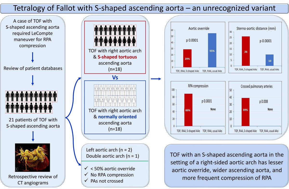 Click rdcu.be/dFtgQ to clarify TOF with S-shaped asc. aorta - variant with high rate of RPA compression & crossed PAs trebuchet.public.springernature.app/get_content/02… @AlsaiedTarek @JustinTretterMD @swatigar @DrRajeshG1 @ShelbyKuttyMD @CongenitalHear3 @VLSorrellImages @nabelsc @AEPCcongenital