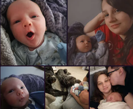 bribris12's tweet photo. Hey all, here are some pics of my baby boy. Ive been mia streaming taking care of this bundle of joy. Miss and love you all! https://t.co/mB4MovU1S2