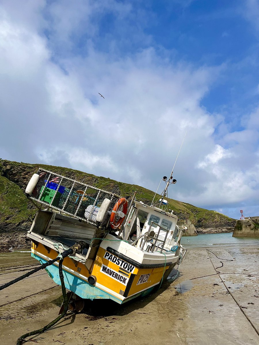 📷 Maverick, Port Isaac, North Cornwall #photograghy #coastalphotography #portisaac #cornwall