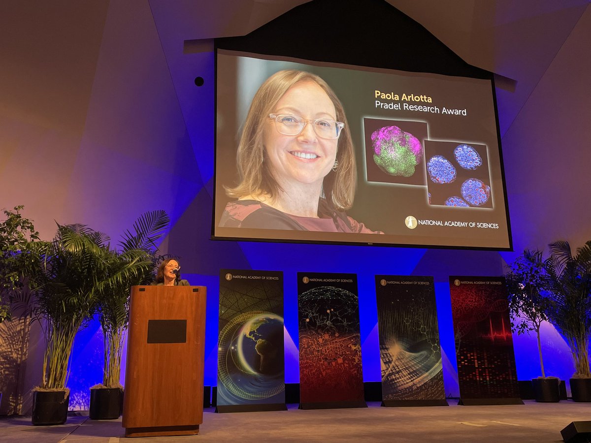 2024 Pradel Research Award winner Paola Award thanks her colleagues and postdocs for “turning into science what we thought would be science fiction” as they discovered how to build human brain tissue in the lab. #NASaward #NAS161