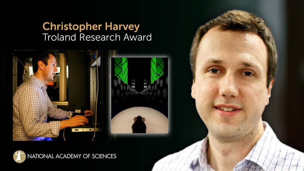 Accepting a 2024 Troland Research Award is Christopher Harvey of @Harvardmed for his pioneering work on neural circuits. #neuroscience #NAS161 #NASaward Watch live: ow.ly/J6iJ50Rqenj