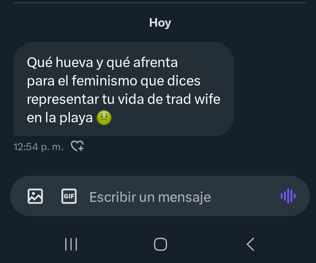 Recibo este tipo de mensajes más o menos seguido, aunque recibo muchos más mensajes lindos para ser honesta. Este lo hago público sólo para dejar claro que yo no represento ni me interesa representar 'el feminismo'. Soy una 'trad wife' muy ocupada con sus talleres y su escritura.