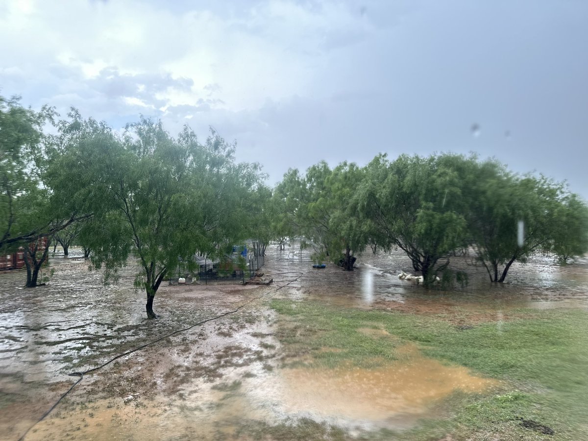 Started raining right at 8 this morning. Husband was practically done with morning feedings when it started pouring. Rained nonstop for hours. This pic was about 2 hours ago 🌧️ 

#SouthTexas