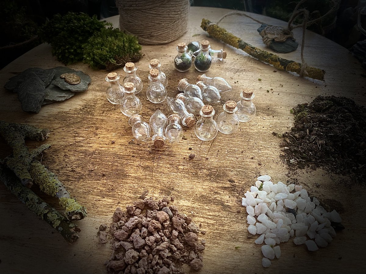 Mini 'mossarium' à découvrir bientot ;)🌱🌿🪴🍄🌱🪵🌲🐜☘️ #terrarium #faitmain #mossarium #nature #ideedeco