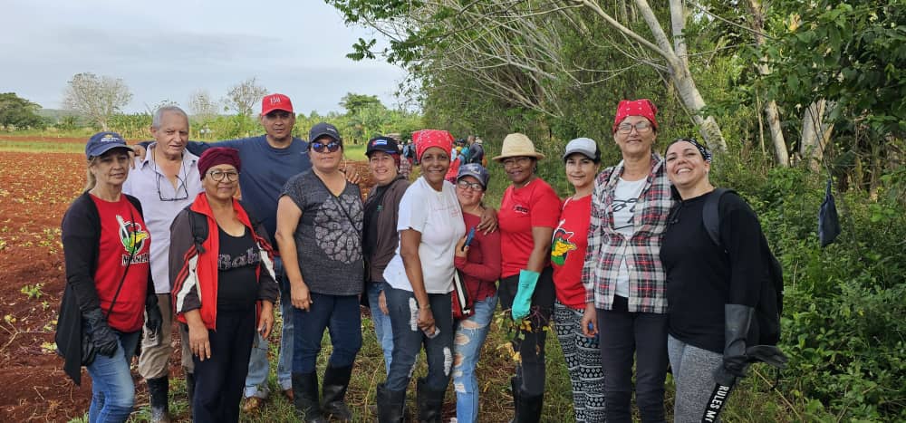 🌄🇨🇺 Para el @gpppmatanzas la mañana de 😎 domingo fue desde la tierra de Ceiba Mocha en la que los 🤲 trabajadores matanceros nos fuimos para el 🚜 surco 🧑‍🌾 en saludo al #1Mayo y sembramos 2 hectáreas de boniato #PorCubaJuntosCreamos #Matanzas #GobMtz #MatancerosEnVictoria