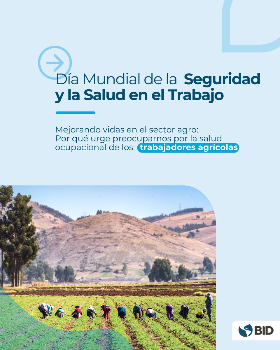 En el Día Mundial de la #Seguridad y la #Salud en el #Trabajo, debemos tomar conciencia sobre las condiciones laborales de los trabajadores de la #Agricultura. Generar conocimiento sobre la salud ocupacional en este sector es necesario para tomar acción: bit.ly/3Wifrr8