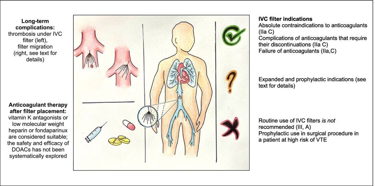 Inferior vena cava filters: Concept review and summary of current guidelines CCR Journal Watch criticalcarereviews.com/latest-evidenc… Get the latest critical care literature every weekend via the CCR Newsletter - subscribe at criticalcarereviews.com/newsletters/su…