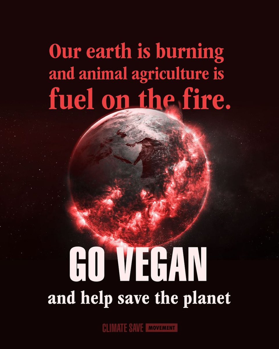 #AnimalAgriculture is a major contributor to #GlobalWarming, emitting potent GHGs like #Methane. Not only does it clear forests, releasing stored carbon, but the energy-intensive production of animal feed and the transportation of livestock add to the environmental toll. 🌱💚