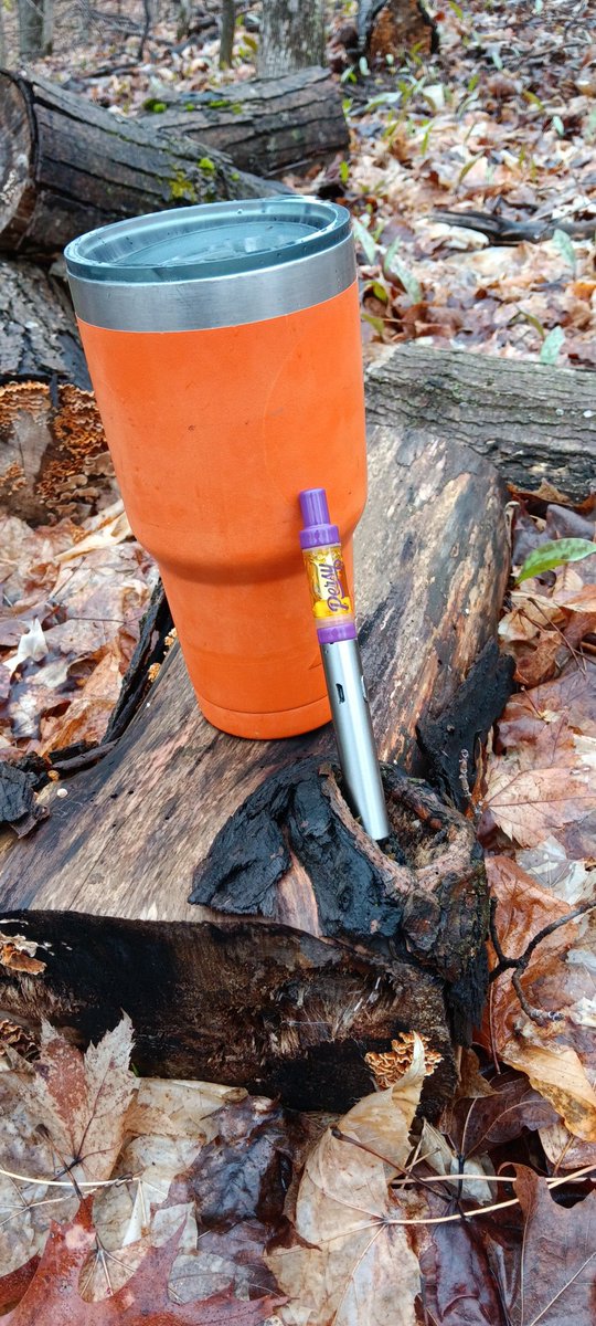 Out looking for morels, nothing yet. Coffee and some grape ape keeping it exciting 💚💨💨💨 #Mmemberville #StonerFam #Northernmichigan #SundayFunday