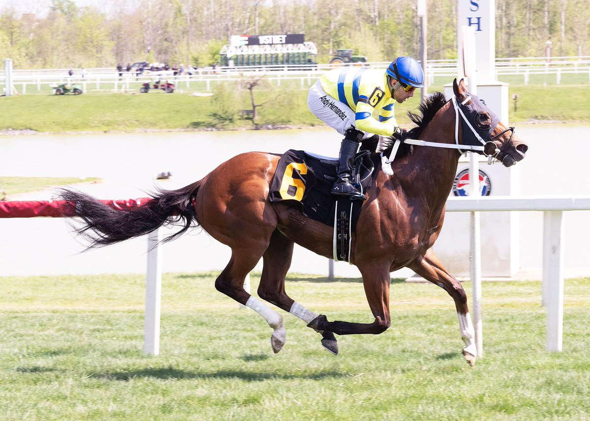 Stakes winner That’s Right back in barn of @HardestyStables at Parx @PTHA17 after FL trip and gets back on course with front-end win in 5 1/2F N2X allowance optional $40K (tag) @LaurelPark. 5YO Goldencents gelding ridden by Andy Hernandez for James Shannon Jr. (Jim McCue 📷)