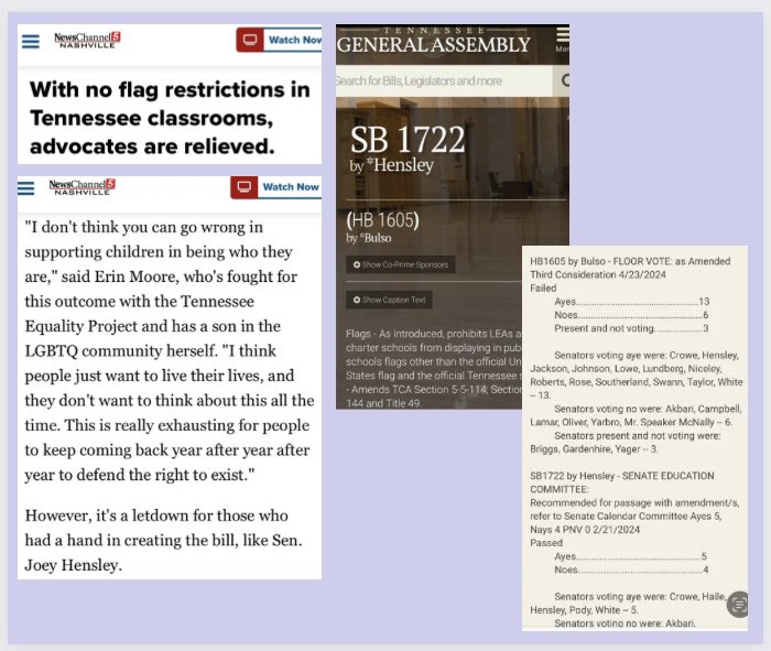 I absolutely can NOT believe #tnsen failed to pass a #CommonSense Bill😳 

#tnleg listening to ErinMoore w/ @tnequality is on wrong side of tnedu history here🙄

I parent a LGBTQ student, and I’d pull my minor kid from any classroom that displayed any sub-sect flag. Period. 🤦‍♀️