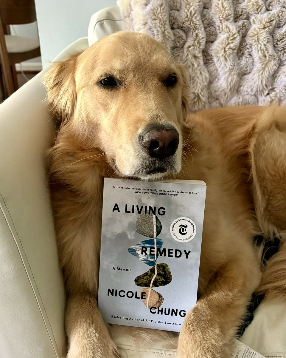 A Living Remedy is available in paperback this Tuesday! I would love it if you wanted to buy it from your local indie bookstore! Or maybe from mine? loyaltybookstores.com/book/978006303… @Loyaltybooks