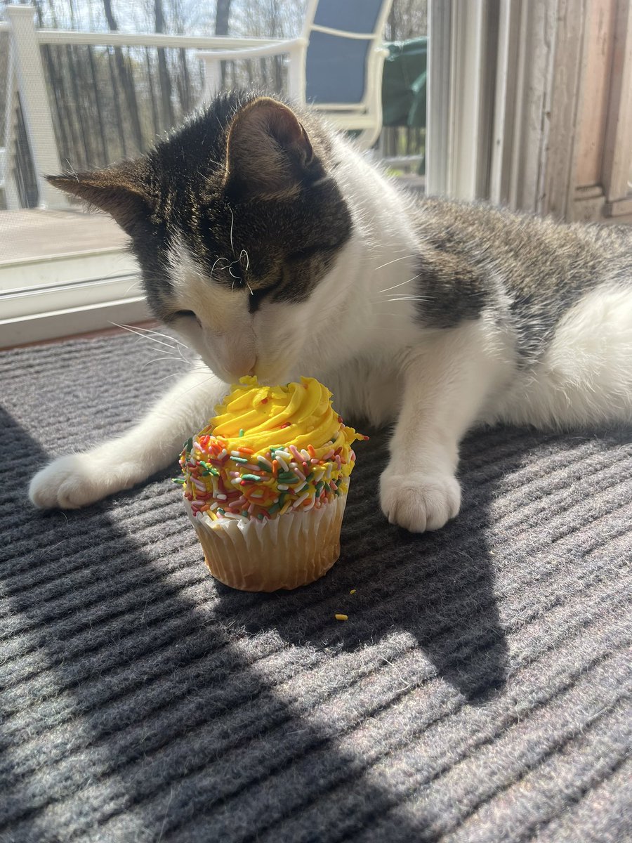Happy 14th birthday to my beautiful Stefan! <a href="/HeidiJe37859941/">Heidi Jensen</a>