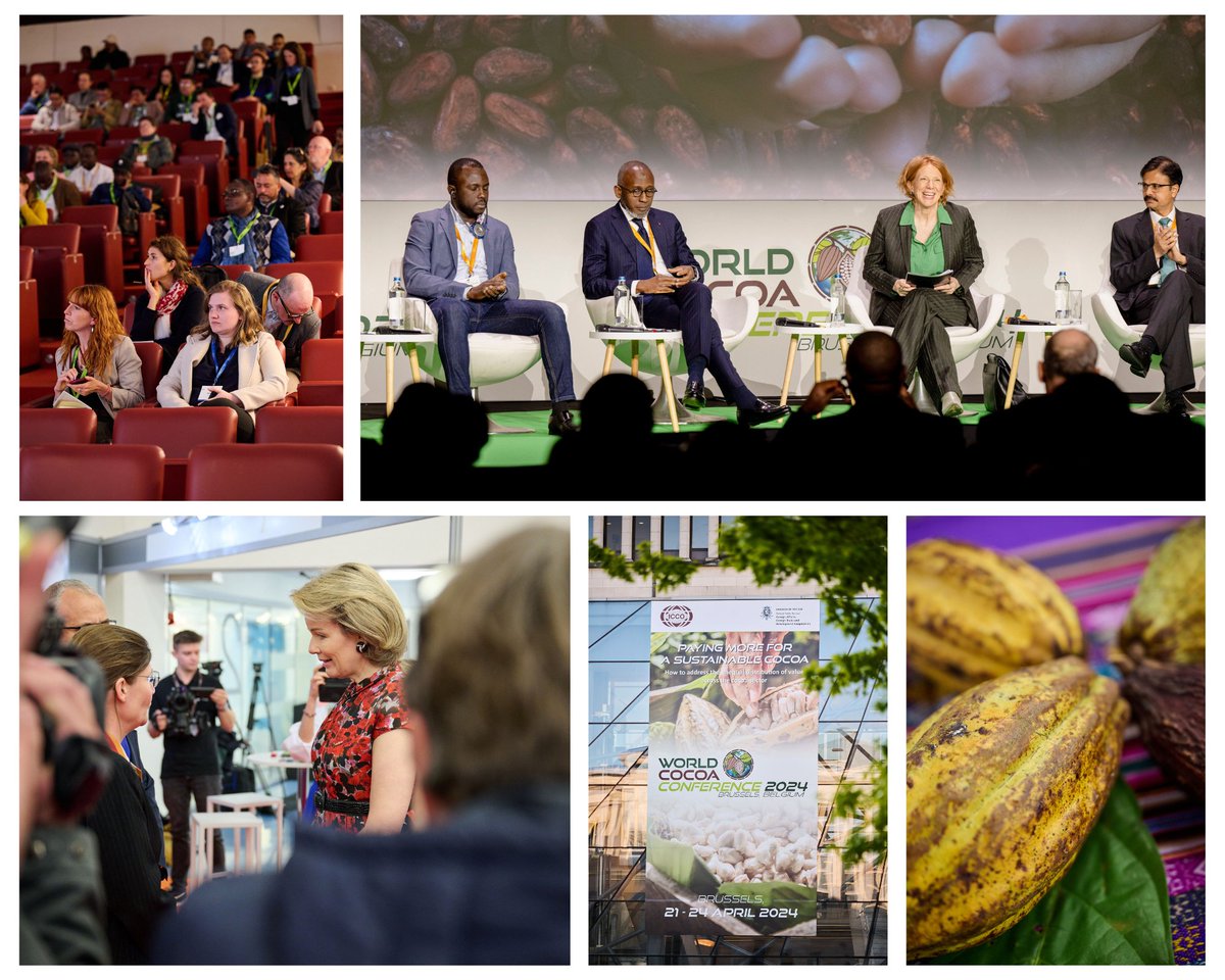 As the @worldcocoaconf ended and with the 🇪🇺Parliament adopting the Corporate Sustainability Due Diligence Directive & the Forced Labour Regulation, the Brussels Declaration outlines tangible actions and identifies key actors to address challenges in the cocoa sector.