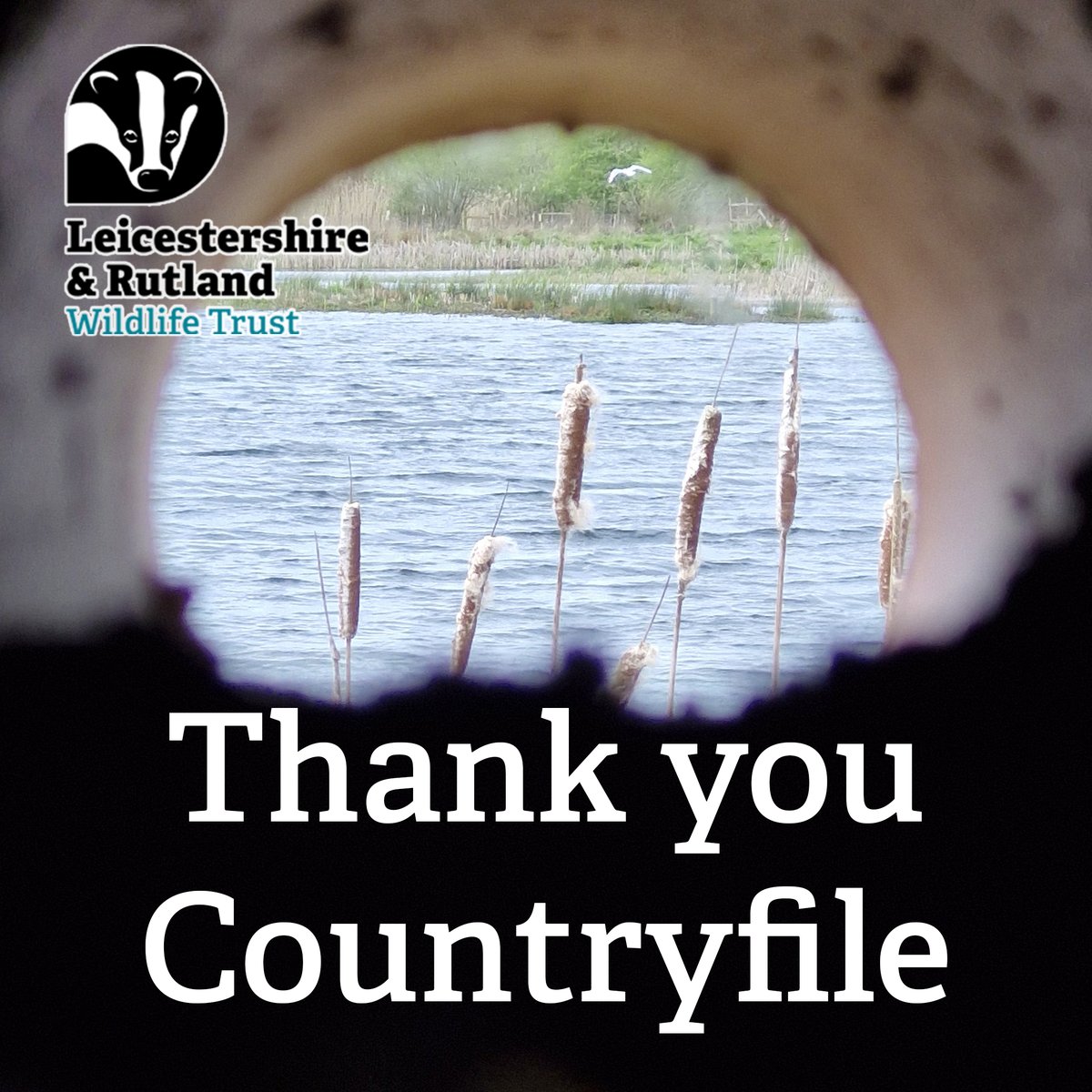 Big thanks to @BBCCountryfile for featuring @RutlandWaterNR the amazing work of our team @LeicsWildlife @rutlandospreys & our volunteers. Thanks also to @leicsbatgroup & of course to Ronny from the @ospreylf Missed it, catch up on @BBCiPlayer bbc.co.uk/iplayer/episod…