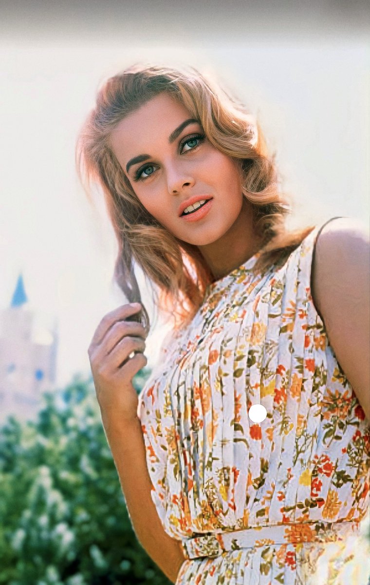 Every day is the perfect time to celebrate Ann-Margret. But today is her Birthday..ao let's add another candle to her sparkle.