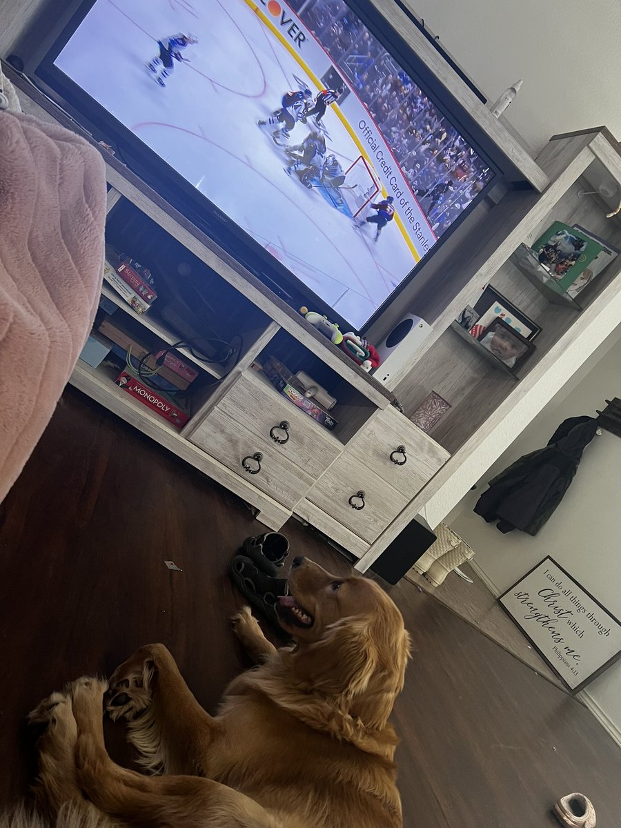 Mikko is diligently watching the <a href="/Avalanche/">Colorado Avalanche</a> game 💙💜