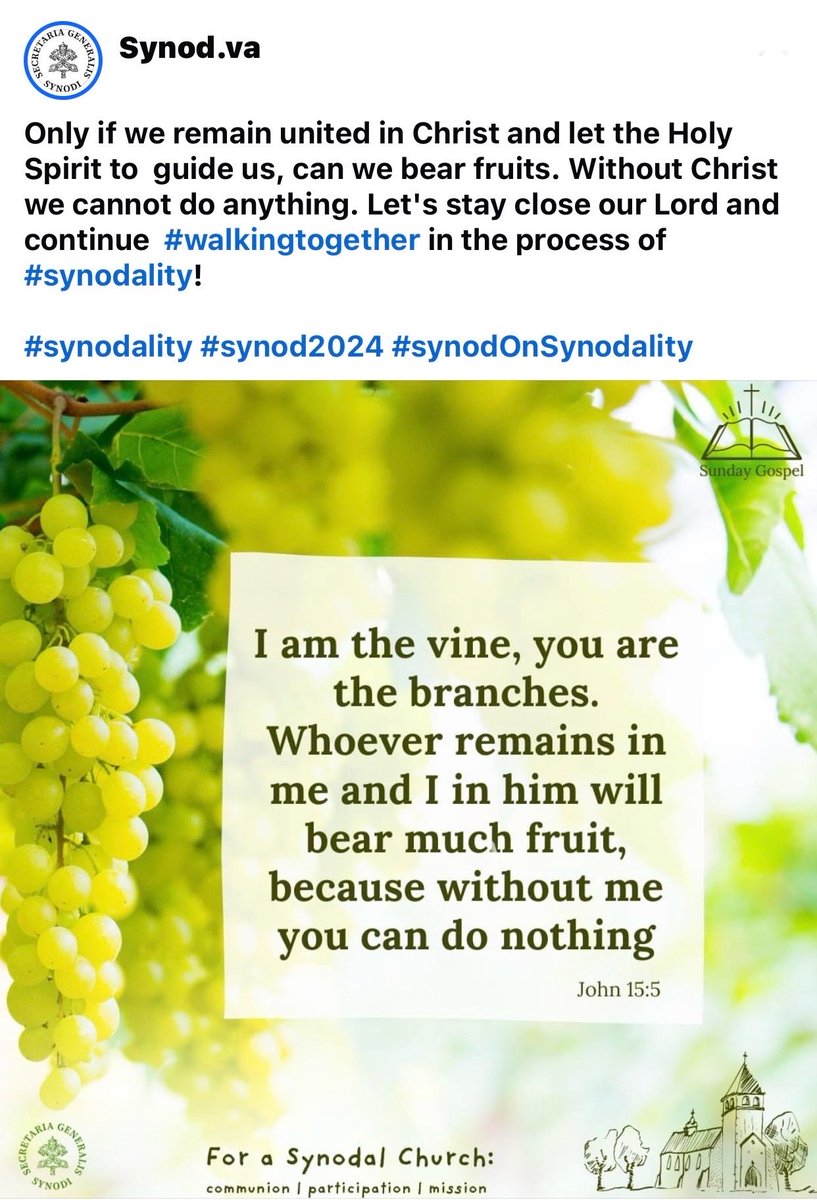 ‘Only if we remain united in Christ and let the Holy Spirit to  guide us, can we bear fruits. Without Christ we cannot do anything. Let's stay close our Lord and continue  #walkingtogether in the process of #synodality!’

#synodality #synod2024 #synodOnSynodality