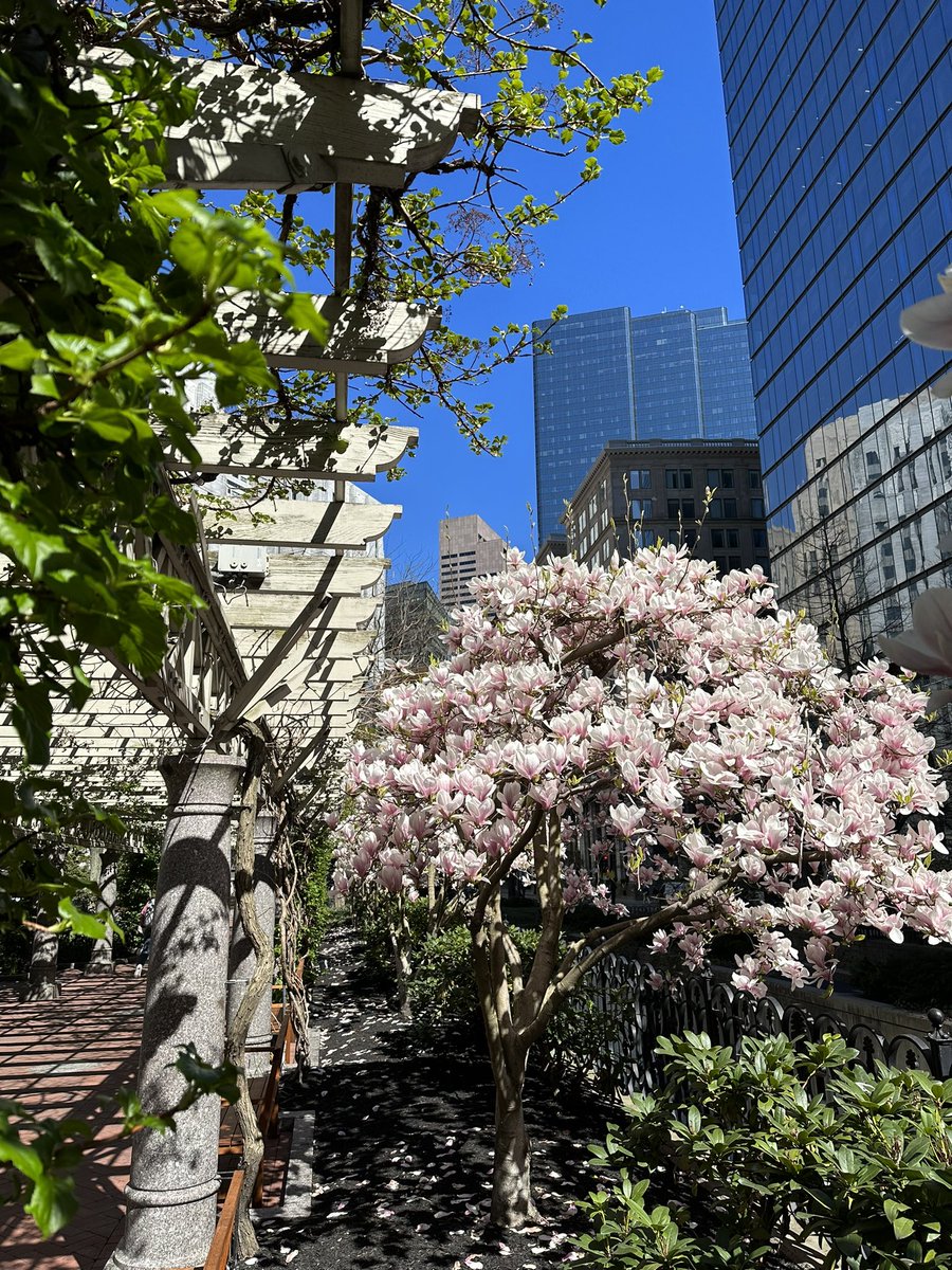 Lovely spring weather and beautiful blooms of Post Office Square 🌸