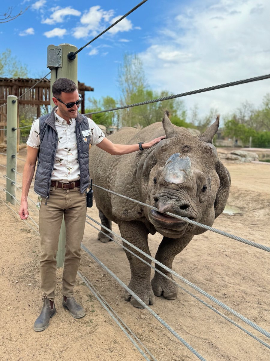 Yesterday was #WorldVeterinaryDay, a day dedicated to celebrating the veterinary profession and the lifesaving worked performed by these experts! Did you know that Denver Zoo has a team of five full-time veterinarians?