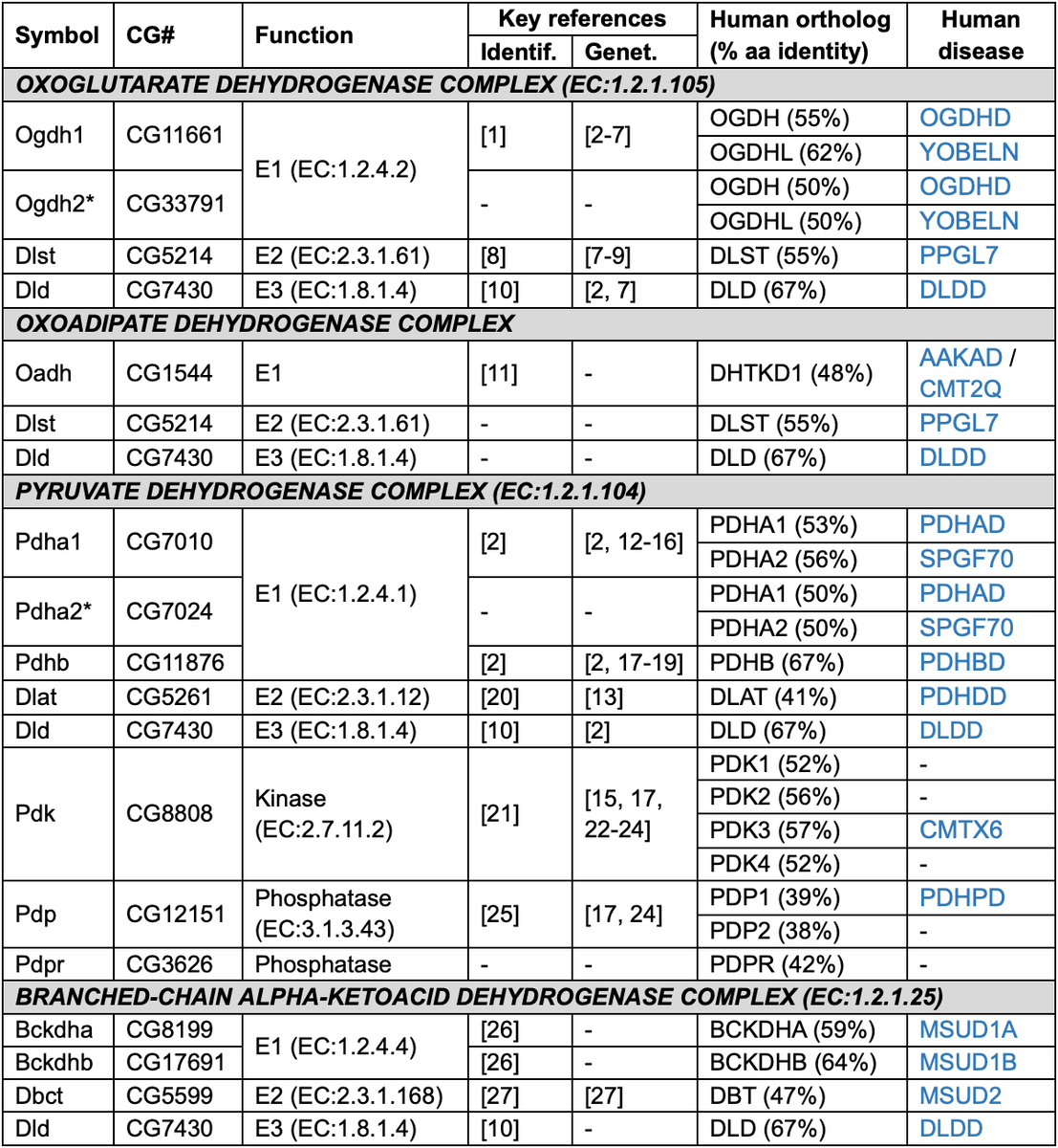 Micropub7n's tweet photo. The alpha-ketoacid dehydrogenase complexes of Drosophila melanogaster. #micropublication #biology #data #caltechlibrary #Drosophila #DatabaseUpdates #DataUpdates https://t.co/sbI3lhFCaN https://t.co/cCZBuovxSL