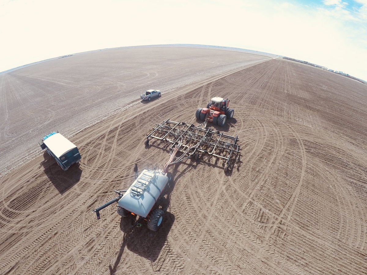 Lacadena, SK 🌾 #plant24