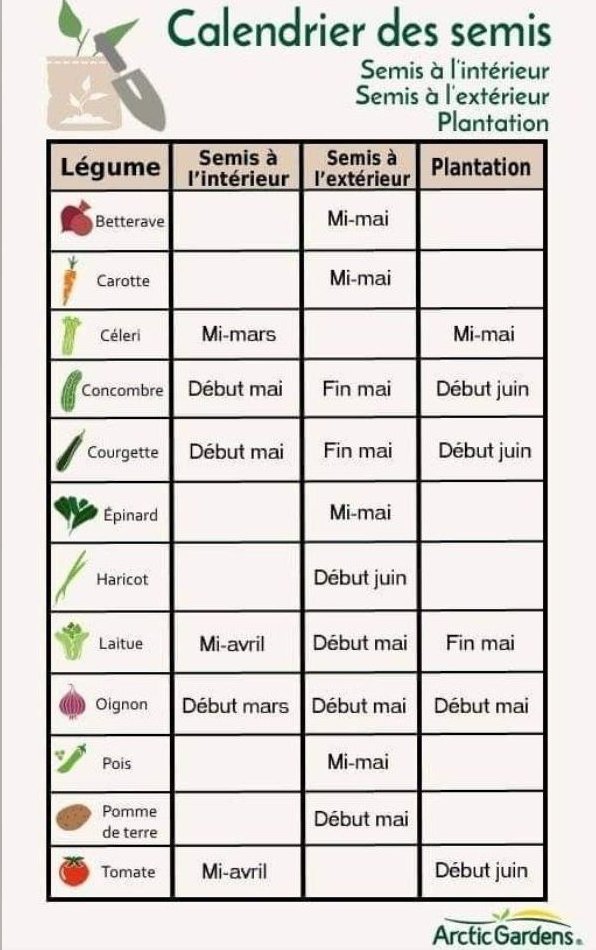 Il est grand temps de retourner à la terre pour qu'elle puisse te donner de l'abondance et te nourrir correctement!