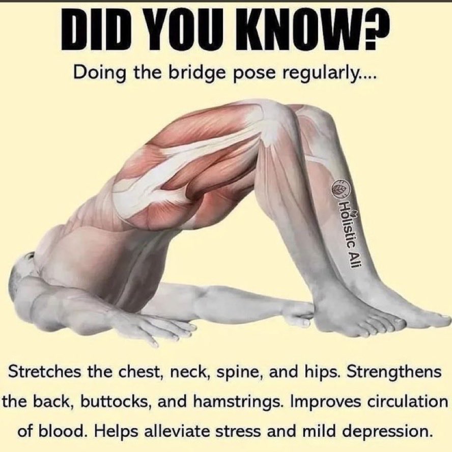 This does amazing things for your back if you have back problems 👇🏼