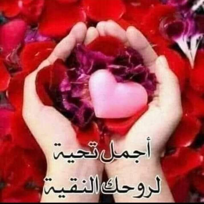 @ahmdfhm58998574 @fwad24 @fwad25 @90O0yy @alkaladi_ @mrl_q20 @lm_zky @mirl00 @1alny @9rrgr @_i1ic @z_a_s_d_f @ISI0013 @2rattibyf @_1_success @syf1828710 @Saleh_talleb @aboelfotoh10 @DOCTOMR999 @SayedAmin999 @almghrbyh95901 موفقين ان شاء الله احمد فهمى✨👑 تحياتي لك وللجميع وشكرا لك🌹 اسعد الله مساكم بكل خير وسعادة ومحبة🌹💫🌹💫 . . #ملك_الدعم_والاضافات #دعم_نور_الرحمن