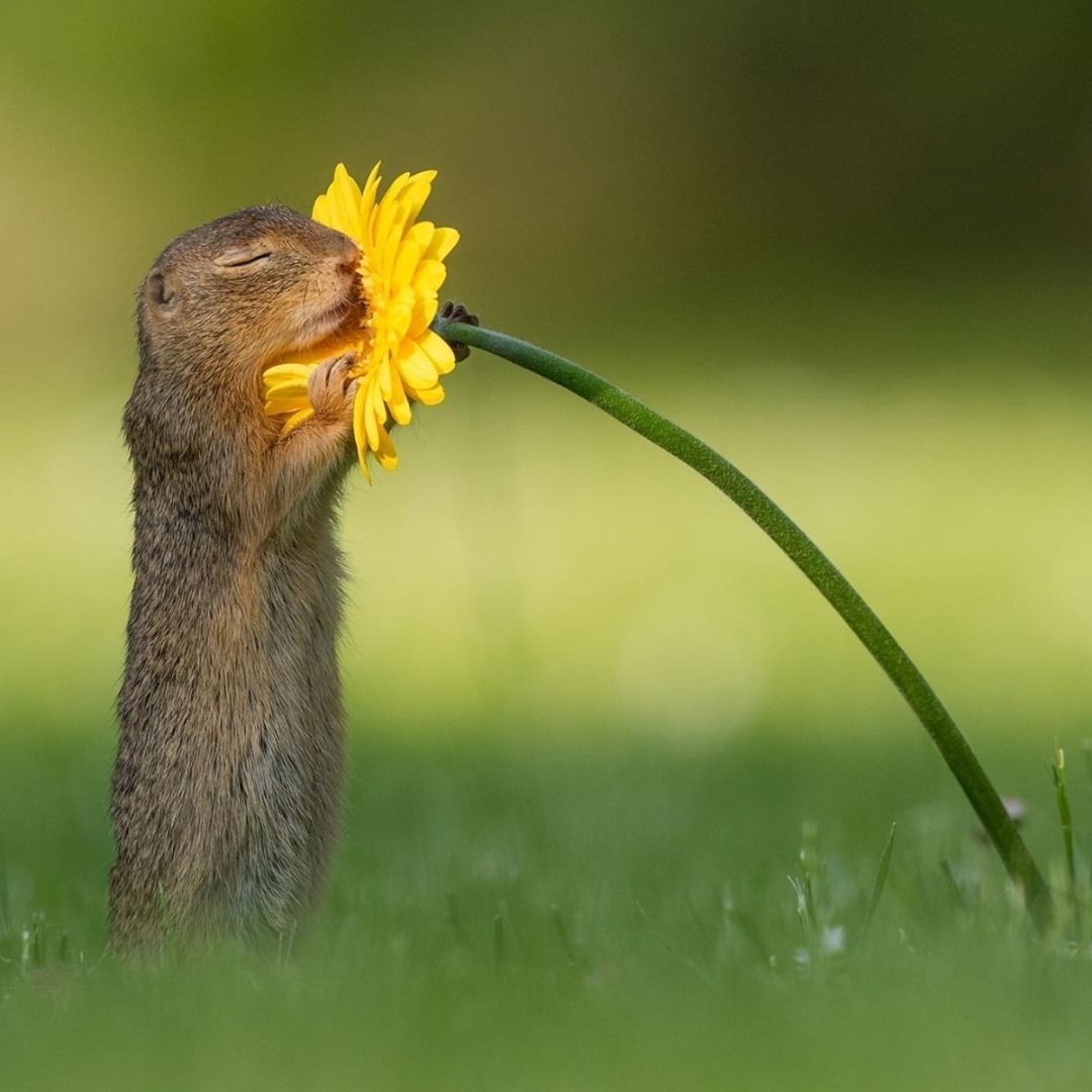 Us every day this #EarthMonth🌼
⁣
📸 : Dick van Duijn