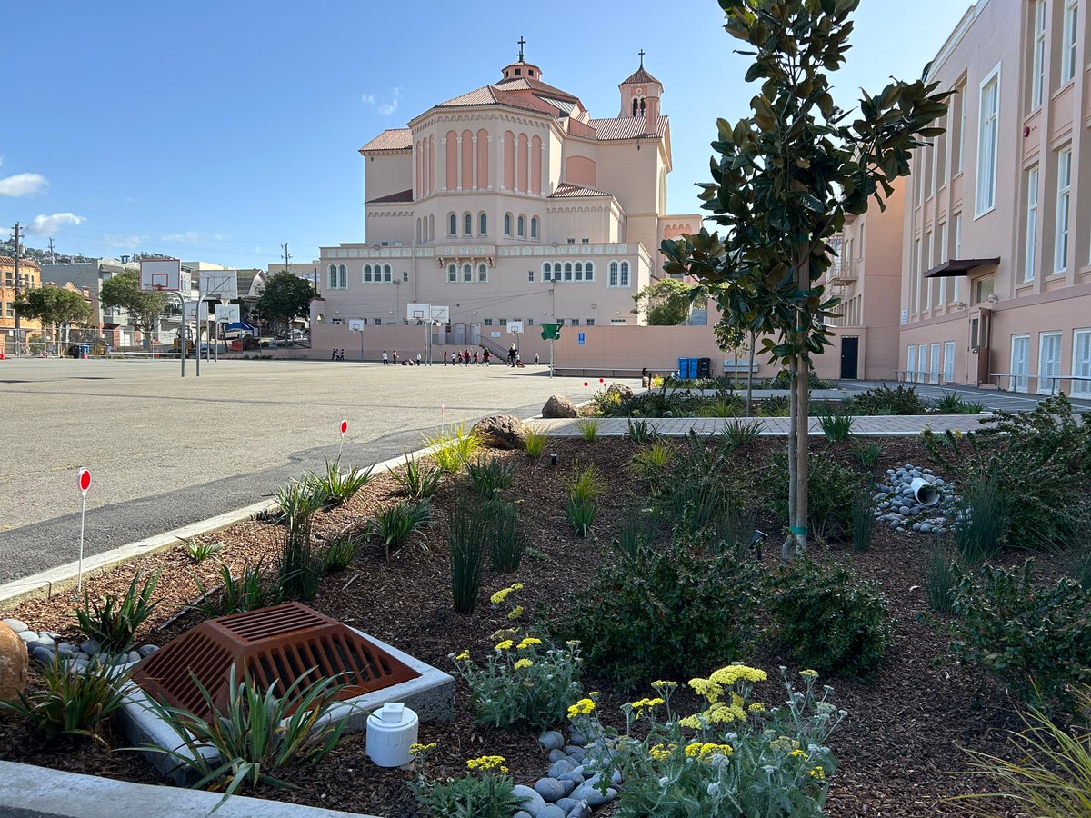MySFPUC's tweet photo. Are you ready to beautify your neighborhood and help in the ongoing fight against climate change? Our Green Infrastructure Grant Program will help fund green infrastructure projects in your neighborhood. Follow the link to learn more. 🌱  https://t.co/AUqJZNtaO8 https://t.co/cKUP8IIGij