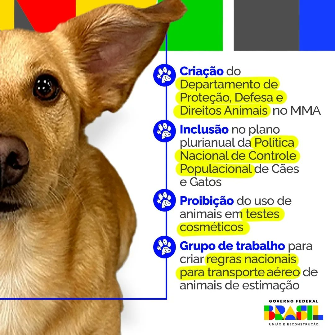 A busca por um tratamento justo para os animais é prioridade do @govbr. Um dos primeiros atos desta gestão foi colocarr a Secretaria de Proteção, Defesa e Direitos dos Animais sob a tutela do @mmeioambiente, com o objetivo de pensar políticas públicas para os animais.