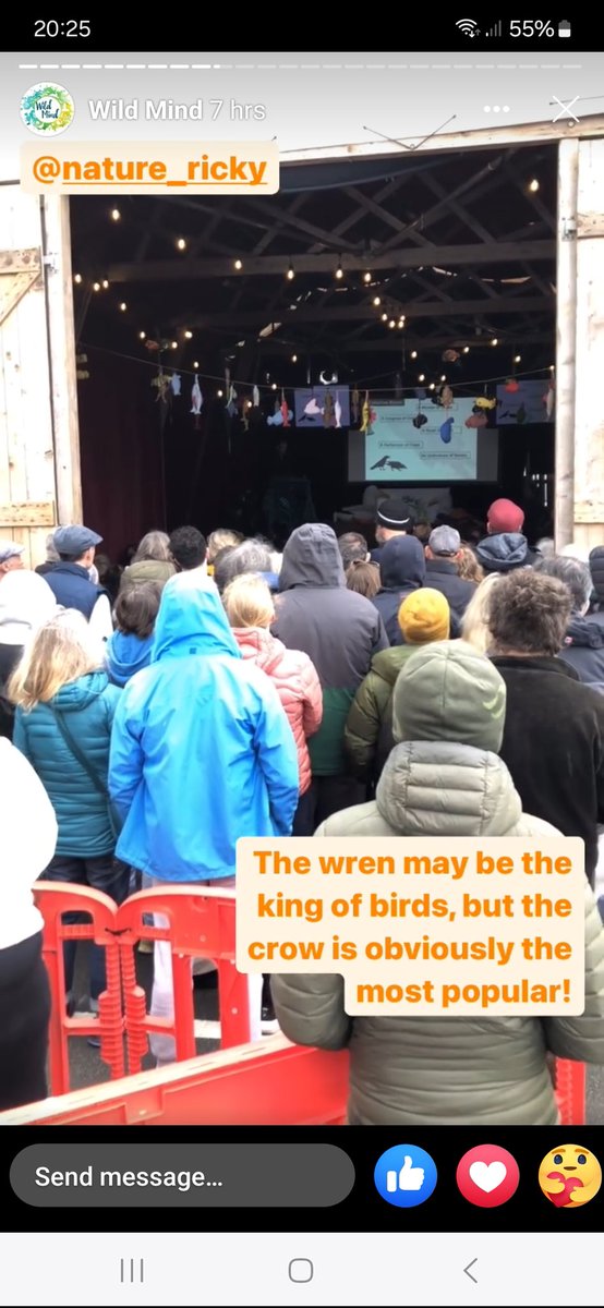 Surprised + delighted by turnout for my 'Secret Life of #Crows' talk @wildmind_ie #Fenit #Kerry this weekend! What a great #nature/#enviro festival. Bonus to see loads of folk @SoundsIrish @CTLFilms @SamBayley2 @WHunt86 et al. Tnks again to Mike, Jim + all WM crew for invite🙏