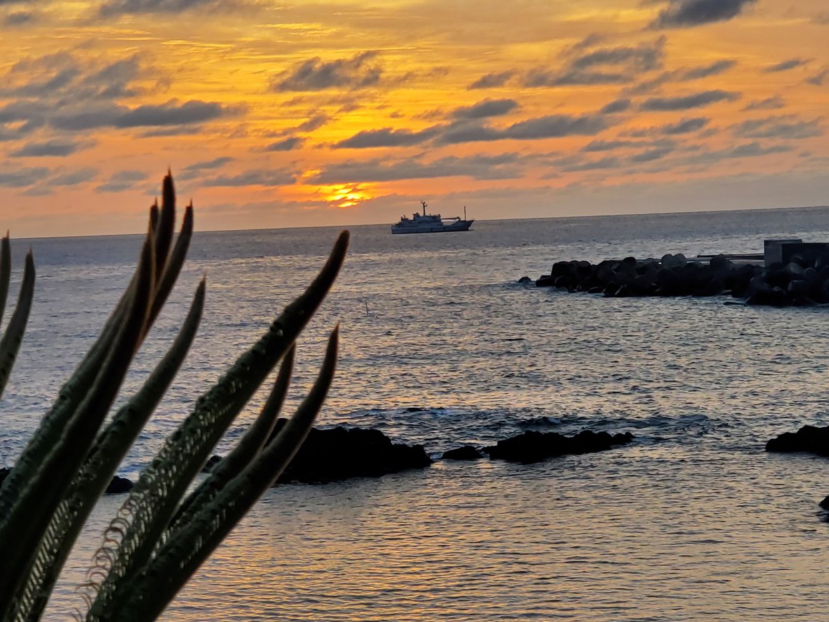 おはよーございます🎵
本日の八丈島は曇り時々雨予報
朝陽は綺麗ですがね🌅
昨日の野球大会は見事に！
準優勝⚾😆
既に筋肉痛です…😒
今日も安全第一で！
楽しんで行きましょう😆